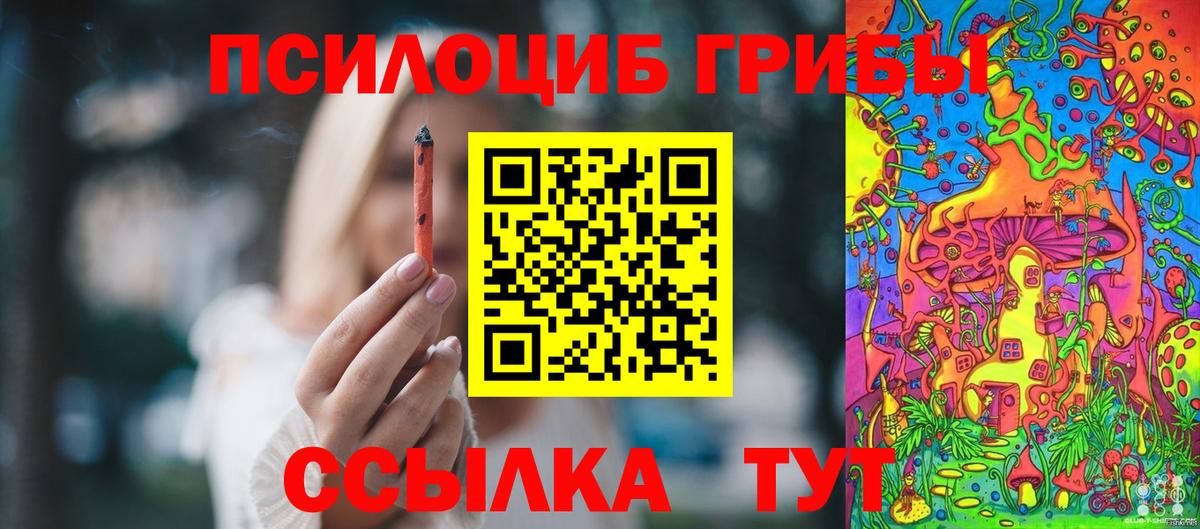 Галлюциногенные грибы GOLDEN TEACHER Гудермес