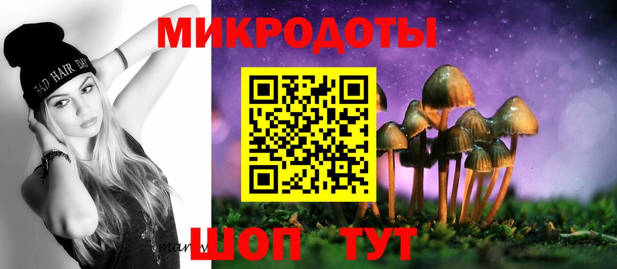 Псилоцибиновые грибы MAGIC MUSHROOMS  Вход с VPN  Псилоцибиновые грибы мицелий  Гудермес 